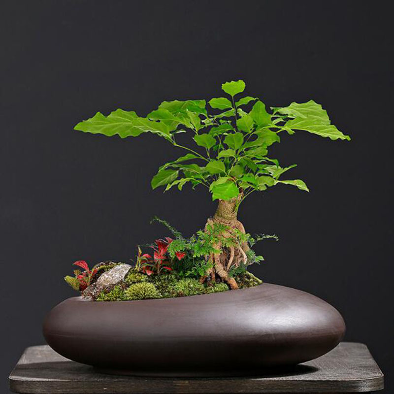 Retro Mor Kil saksı Çin Tarzı  - Tagine Clay Pot incelemesi ve fiyatı
