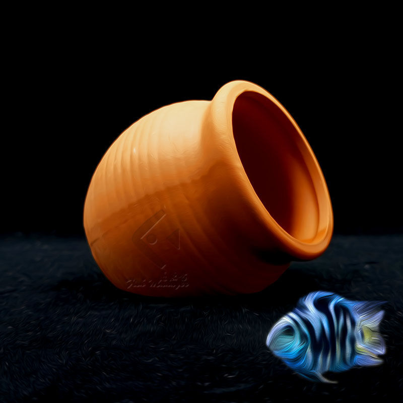 Akvaryum Mini seramik tankı ba - Tagine Clay Pot incelemesi ve fiyatı